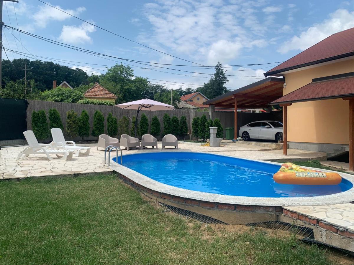 הוילה בלגרד Mika'S Poolhouse מראה חיצוני תמונה
